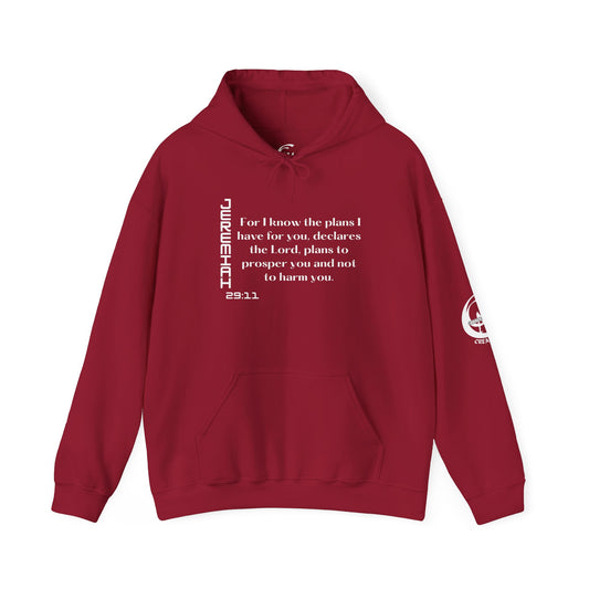 Biblical Hoodie, Jeremiah 29:11 Scripture Unisex Hoodie