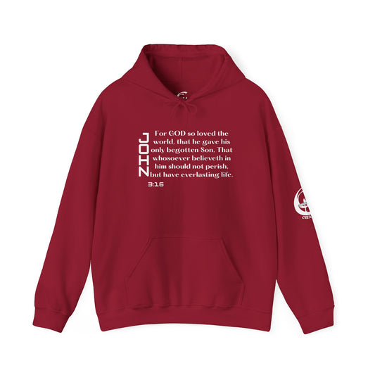 Biblical Hoodie, John 3:16 Scripture Unisex Hoodie