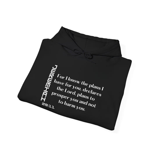 Biblical Hoodie, Jeremiah 29:11 Scripture Unisex Hoodie