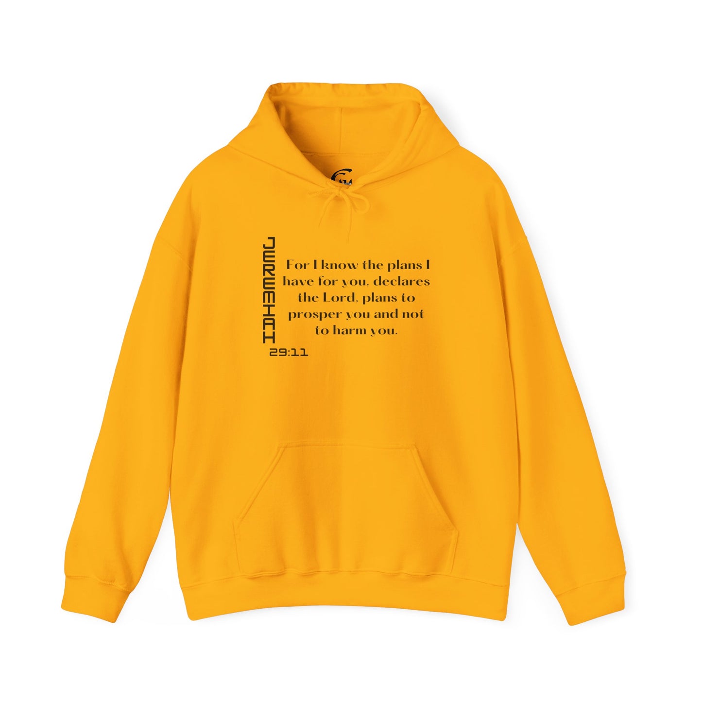 Biblical Hoodie, Jeremiah 29:11 Scripture Unisex Hoodie