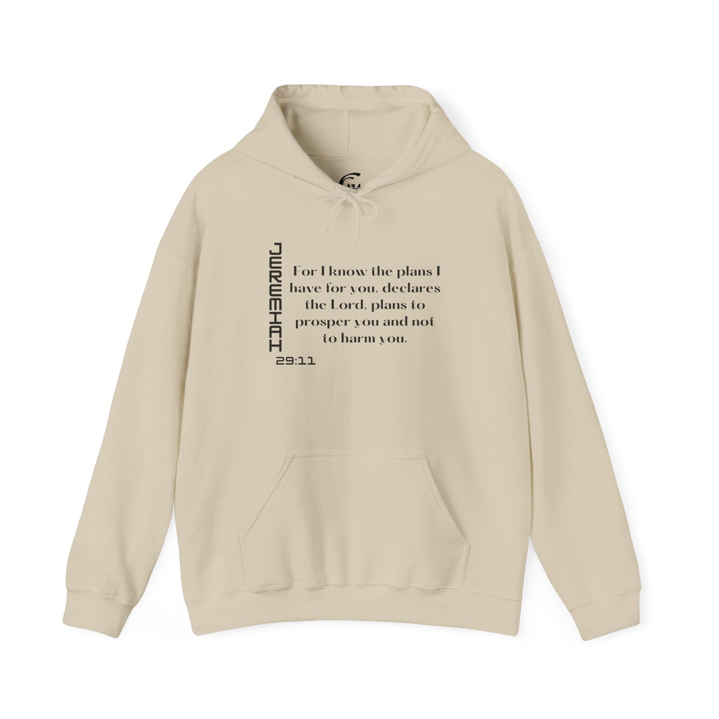 Biblical Hoodie, Jeremiah 29:11 Scripture Unisex Hoodie