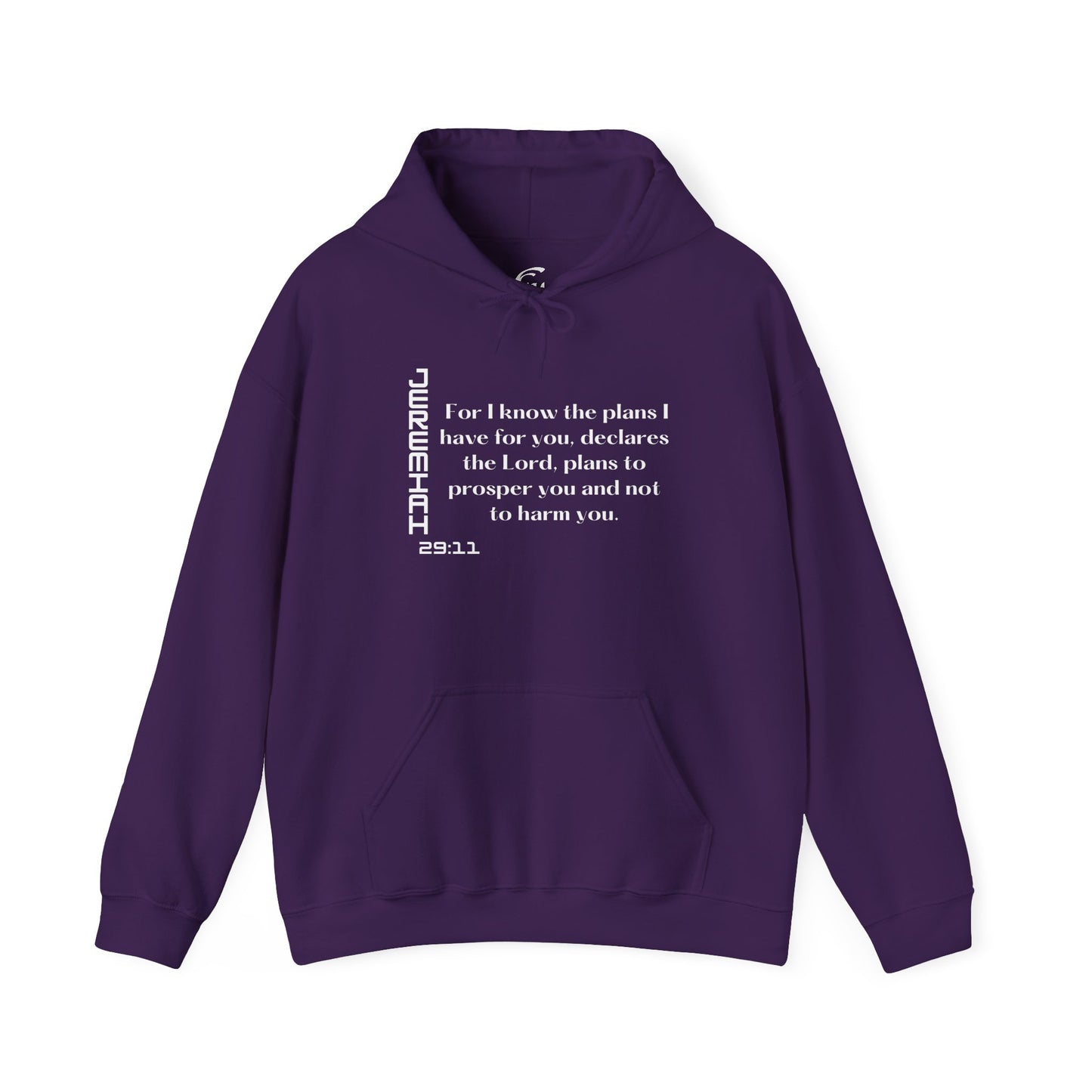 Biblical Hoodie, Jeremiah 29:11 Scripture Unisex Hoodie